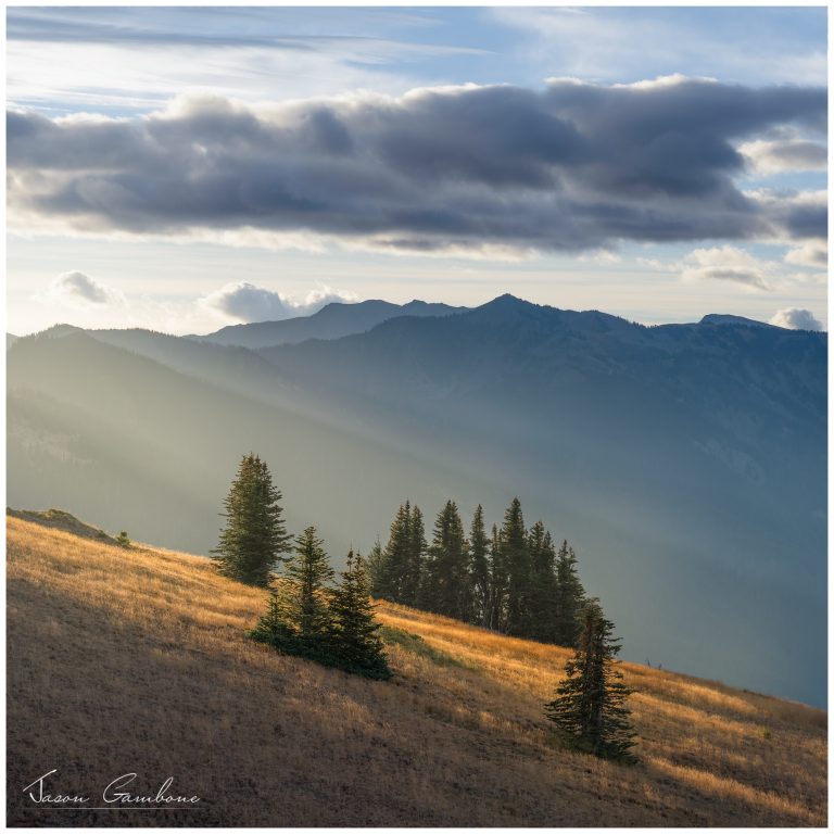 Chasing Light On The Wild Olympic Coast, Part 4